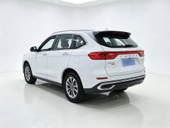 Haval M6 PLUS 1.5T DCT Luxury Smart Connected Edition - ფოტო 4