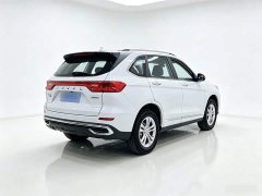 Haval M6 PLUS 1.5T DCT Luxury Smart Connected Edition - ფოტო 6
