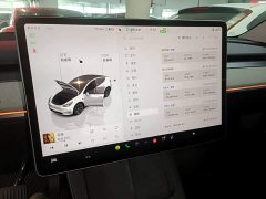 Tesla Model Y Rear-Wheel Drive - ფოტო 12