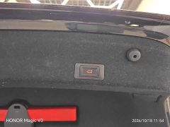 Volkswagen Magotan 2 Million Units Commemorative Edition 330TSI DSG Leading Version - ფოტო 11