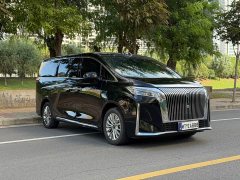 Great Wall WEY Shanshan New Energy Four-Wheel Drive Shanshan 8 - ფოტო 3