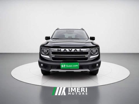 2024 Great Wall Dachshund 1.5T DCT Border Collie Edition - ავტომობილი ჩინეთიდან