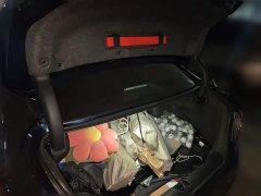 Honda Yingshipai 260TURBO Exquisite Edition - ფოტო 20