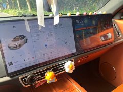 Li Auto L7 Max - ფოტო 8