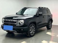 Great Wall Dachshund 1.5T DCT Border Collie Edition - ფოტო 1
