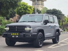 Tank 300 Off-Road Edition 2.0T Conqueror - ფოტო 1