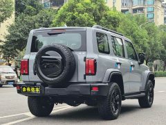 Tank 300 Off-Road Edition 2.0T Conqueror - ფოტო 16