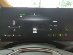Great Wall WEY Shanshan New Energy Four-Wheel Drive Executive Extended Version - ფოტო 11