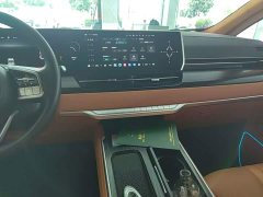 Great Wall WEY Shanshan New Energy Four-Wheel Drive Executive Extended Version - ფოტო 12