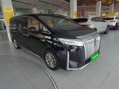 Great Wall WEY Shanshan New Energy Four-Wheel Drive Executive Extended Version - ფოტო 3