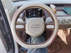 FAW Besturn Xiaoma 2026 222km Cute Horse Plus - ფოტო 6
