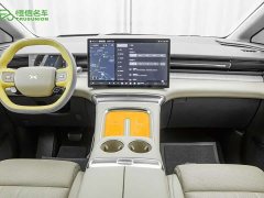 Xpeng X9 Extended Range 1602 Max - ფოტო 6