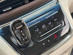 Buick GL8 Land Business Class 652T Luxury - ფოტო 11