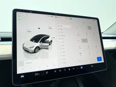 Tesla Model Y 2022 Facelift Long Range All-Wheel Drive - ფოტო 17