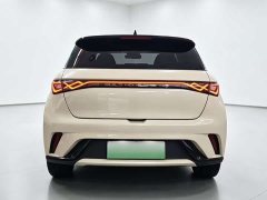 BYD Dolphin 405km Fashion Edition - ფოტო 13