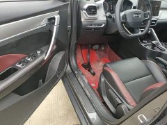 Geely Bingyue 1.4T DCT Platinum Edition - ფოტო 15