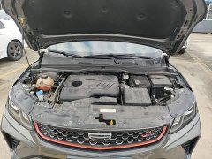 Geely Bingyue 1.4T DCT Platinum Edition - ფოტო 19