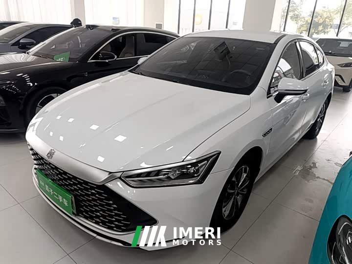 BYD Qin Plus DM-i 55KM Luxury