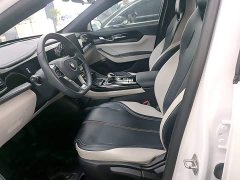 BYD Qin Plus 2021 DM-i 55KM Luxury - ფოტო 14