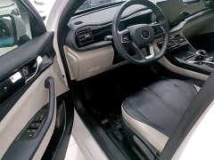 BYD Qin Plus 2021 DM-i 55KM Luxury - ფოტო 15