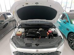 BYD Qin Plus 2021 DM-i 55KM Luxury - ფოტო 19