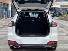 Chery Tiggo 7 PLUS 1.6T GDI DCT Premium - ფოტო 18