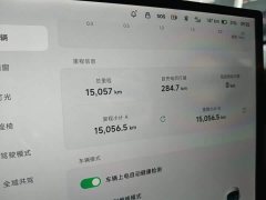 Xpeng P7 2024 Long Range Max - ფოტო 11