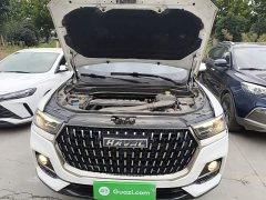 Haval H6 National Trend Edition 1.5T Automatic Urban Version - ფოტო 19