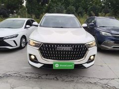 Haval H6 National Trend Edition 1.5T Automatic Urban Version - ფოტო 2