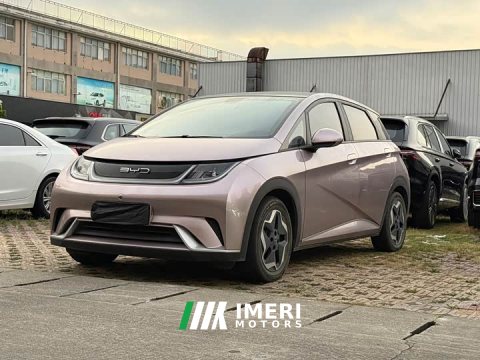 2022 BYD Dolphin 405km Fashion Edition - ავტომობილი ჩინეთიდან