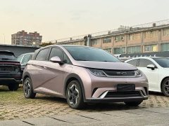 BYD Dolphin 405km Fashion Edition - ფოტო 3