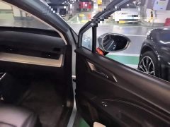 Neta V 2021 Long-Range Industry Custom Edition - ფოტო 16