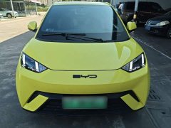 BYD Seagull Freedom Edition - ფოტო 2