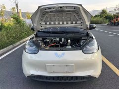 Wuling Binguo 333km Joy Edition - ფოტო 18
