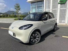Wuling Binguo 333km Joy Edition - ფოტო 4