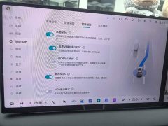 Great Wall WEY Blue Mountain Intelligent Advanced Edition Four-Wheel Drive Max - ფოტო 5
