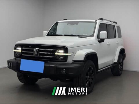 2022 Tank 300 City Edition 2.0T Stylish - ავტომობილი ჩინეთიდან