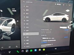 Tesla Model Y Long Range All-Wheel Drive - ფოტო 11