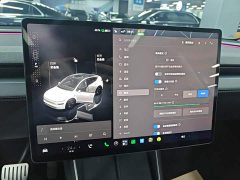 Tesla Model Y Long Range All-Wheel Drive - ფოტო 12