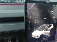 Tesla Model Y Long Range All-Wheel Drive - ფოტო 13