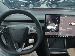 Tesla Model Y Long Range All-Wheel Drive - ფოტო 9