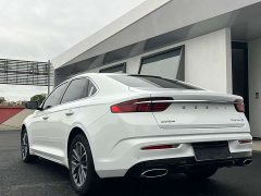 Geely Xingrui 2.0T Diesel Luxury - ფოტო 9