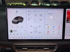 Li Auto L6 Pro - ფოტო 11