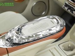 Ora Ballet Cat 2023 401km Deluxe - ფოტო 10