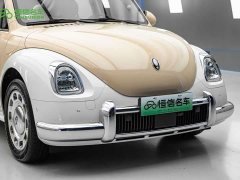 Ora Ballet Cat 2023 401km Deluxe - ფოტო 4