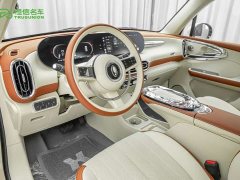 Ora Ballet Cat 2023 401km Deluxe - ფოტო 6