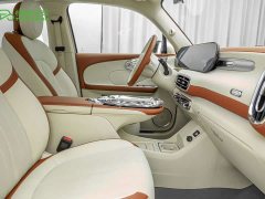 Ora Ballet Cat 2023 401km Deluxe - ფოტო 7