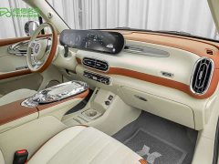 Ora Ballet Cat 2023 401km Deluxe - ფოტო 8
