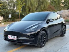 Tesla Model Y Standard Range RWD - ფოტო 1