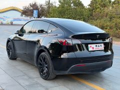Tesla Model Y Standard Range RWD - ფოტო 15